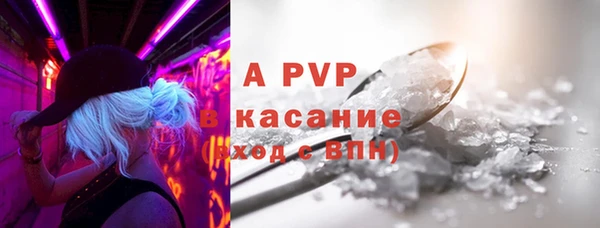 сатива Белоозёрский