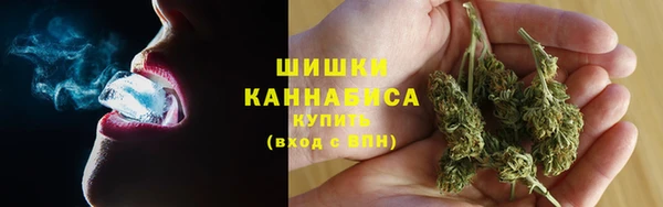 гидропоника Белокуриха