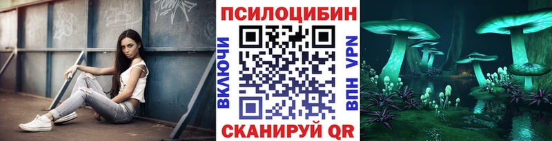 Псилоцибиновые грибы MAGIC MUSHROOMS  ОМГ ОМГ как войти  Нариманов  где купить наркотик 