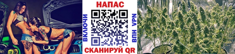 Шишки марихуана планчик Нариманов