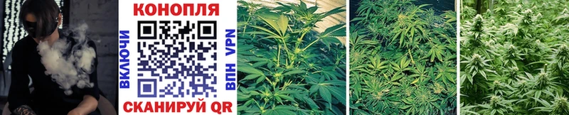 Бошки Шишки OG Kush  Нариманов 